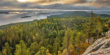 Tutkimassa Erämaata: Patikointipolut ja Kansallispuistot Pohjois-Karjalassa