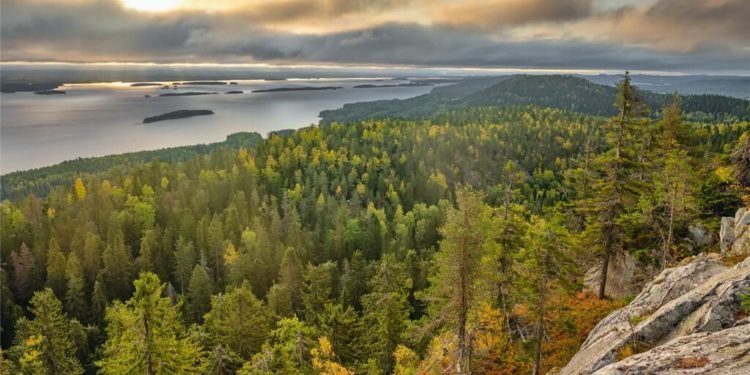 Tutkimassa Erämaata: Patikointipolut ja Kansallispuistot Pohjois-Karjalassa